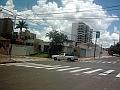 2132_geocities_ws_pantanal
