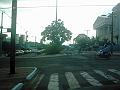 2151_geocities_ws_pantanal