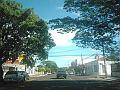 2174_geocities_ws_pantanal