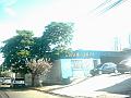 2176_geocities_ws_pantanal