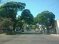 2184_geocities_ws_pantanal