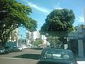 2226_geocities_ws_pantanal