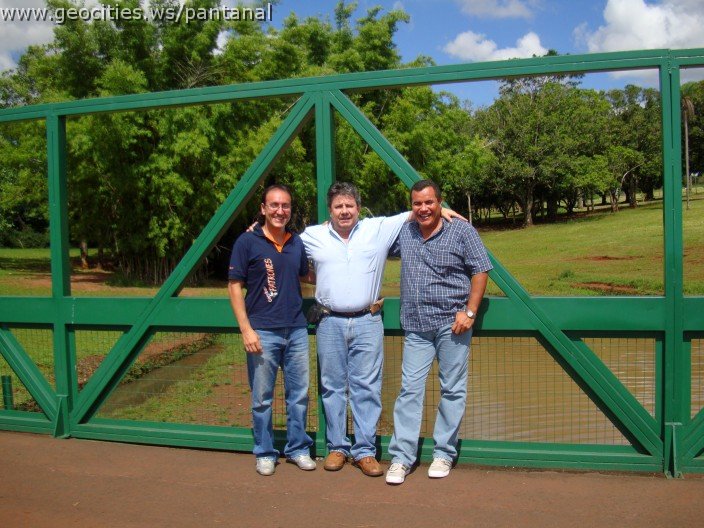 2239_geocities_ws_pantanal.jpg