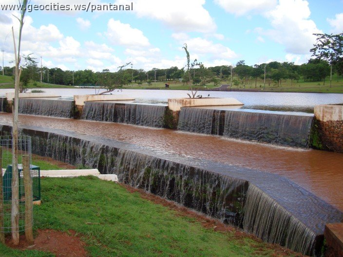 2242_geocities_ws_pantanal.jpg