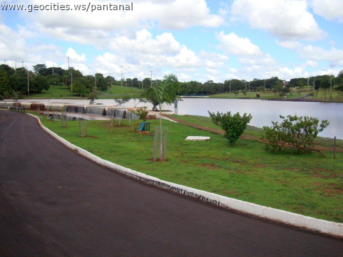 2246_geocities_ws_pantanal.jpg