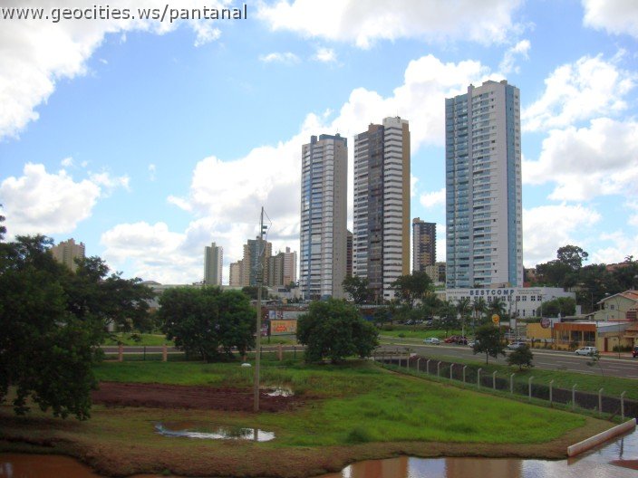 2247_geocities_ws_pantanal.jpg
