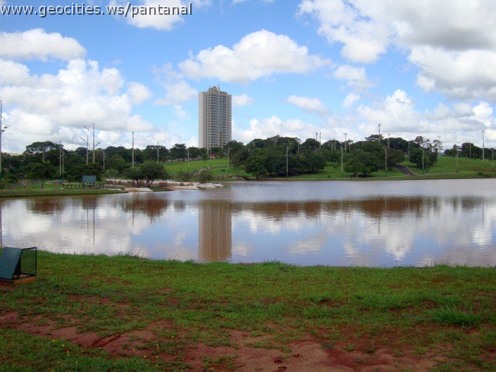 2249_geocities_ws_pantanal.jpg