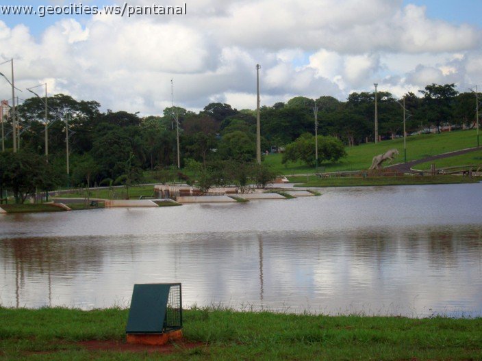2250_geocities_ws_pantanal.jpg