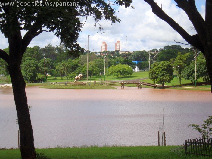 2252_geocities_ws_pantanal.jpg