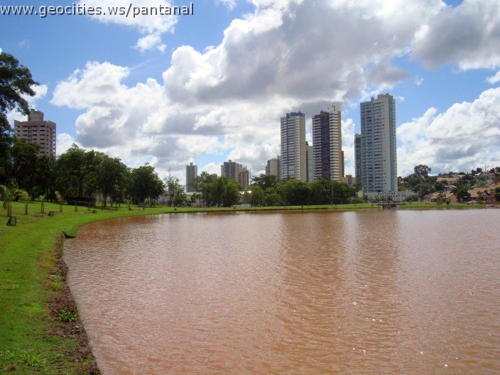 2255_geocities_ws_pantanal.jpg