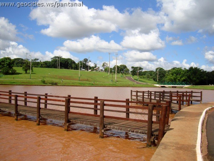 2256_geocities_ws_pantanal.jpg