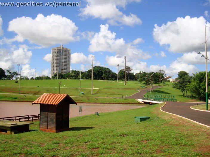 2260_geocities_ws_pantanal.jpg