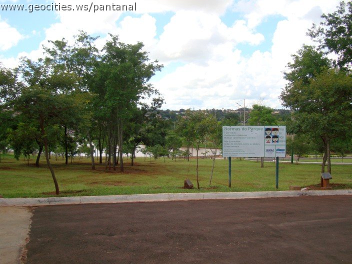 2268_geocities_ws_pantanal.jpg