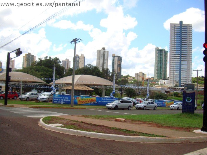 2270_geocities_ws_pantanal.jpg