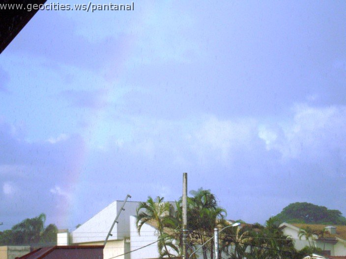 2273_geocities_ws_pantanal.jpg