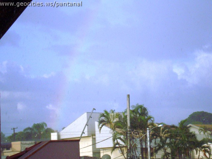 2274_geocities_ws_pantanal.jpg