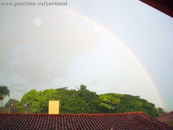 2275_geocities_ws_pantanal.jpg