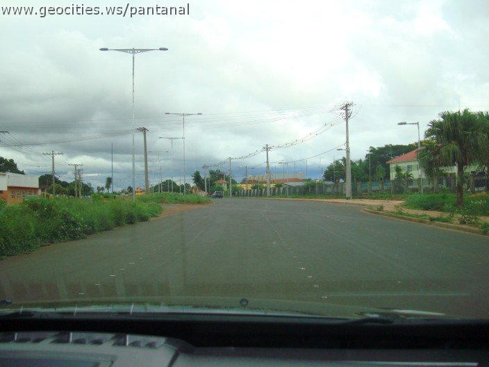 2277_geocities_ws_pantanal.jpg