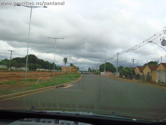 2278_geocities_ws_pantanal.jpg