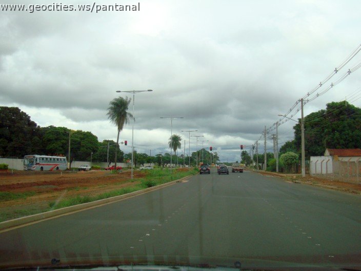 2279_geocities_ws_pantanal.jpg