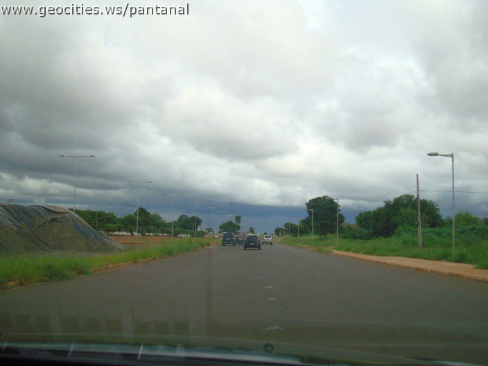 2281_geocities_ws_pantanal.jpg