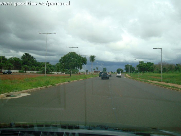 2282_geocities_ws_pantanal.jpg