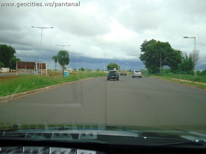 2283_geocities_ws_pantanal.jpg