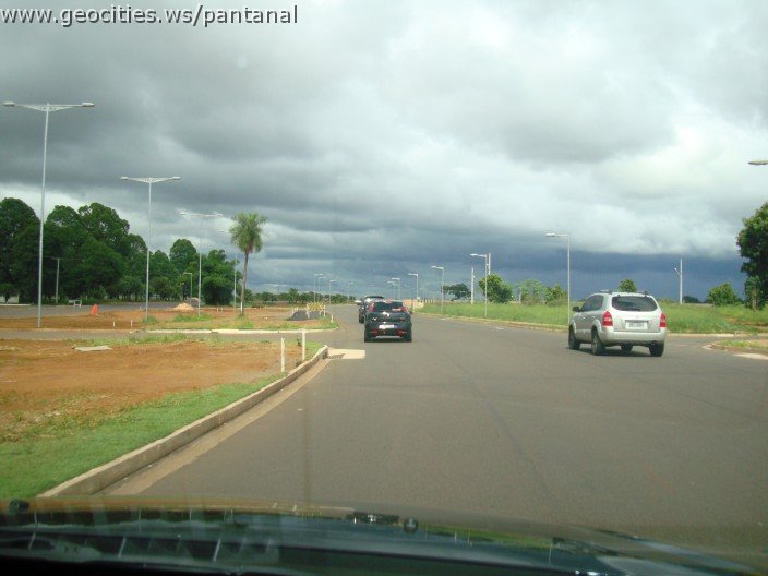 2284_geocities_ws_pantanal.jpg