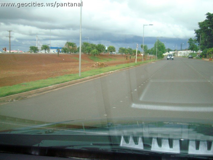 2290_geocities_ws_pantanal.jpg