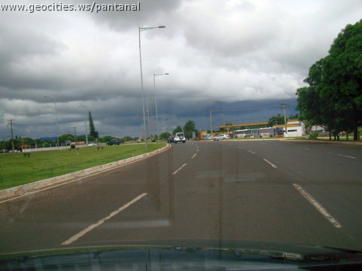 2292_geocities_ws_pantanal.jpg