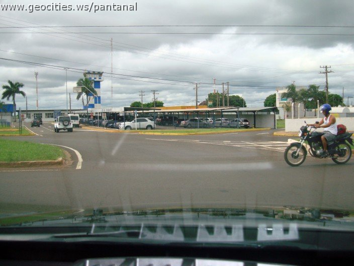 2294_geocities_ws_pantanal.jpg