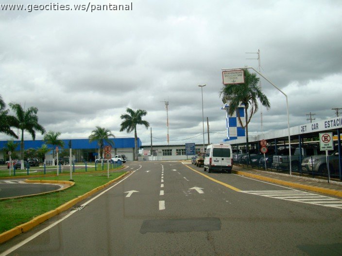 2295_geocities_ws_pantanal.jpg