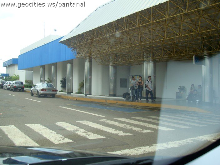 2297_geocities_ws_pantanal.jpg