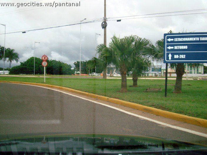 2299_geocities_ws_pantanal.jpg