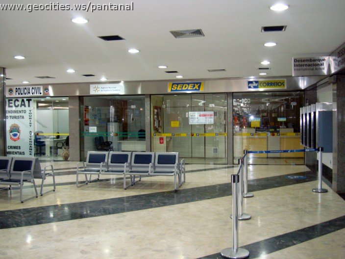 2304_geocities_ws_pantanal.jpg
