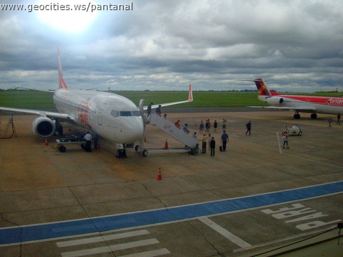 2308_geocities_ws_pantanal.jpg