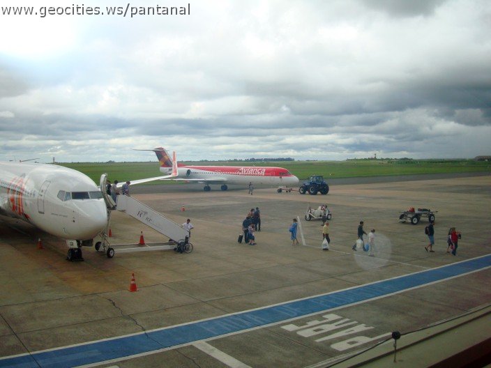 2311_geocities_ws_pantanal.jpg