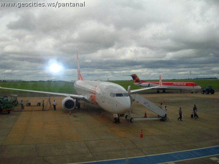 2312_geocities_ws_pantanal.jpg