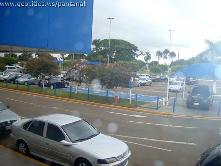 2316_geocities_ws_pantanal.jpg