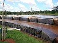 2242_geocities_ws_pantanal