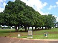 2264_geocities_ws_pantanal