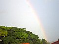 2272_geocities_ws_pantanal