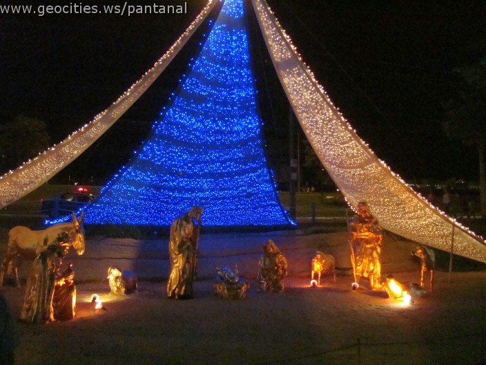 2378_geocities_ws_pantanal.jpg