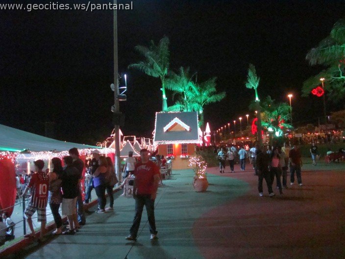 2380_geocities_ws_pantanal.jpg