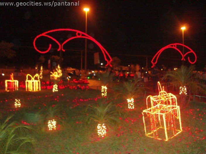 2405_geocities_ws_pantanal.jpg