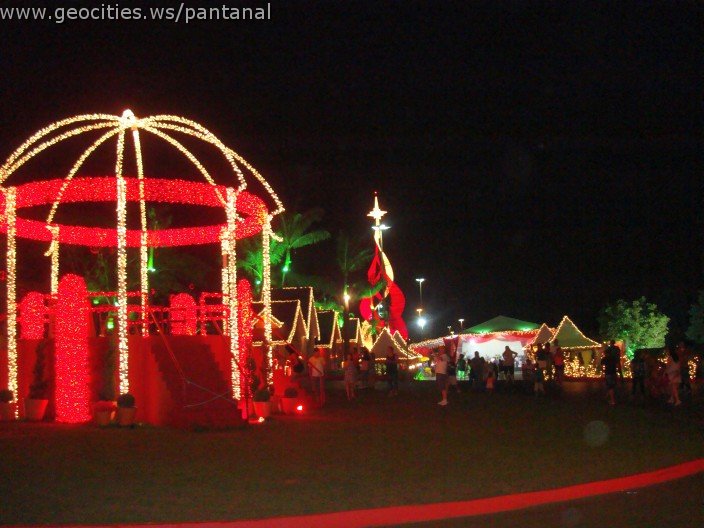 2406_geocities_ws_pantanal.jpg