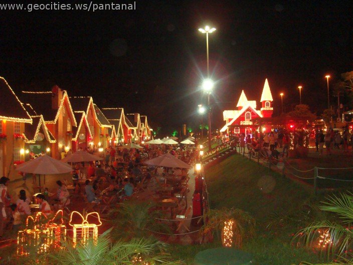 2408_geocities_ws_pantanal.jpg