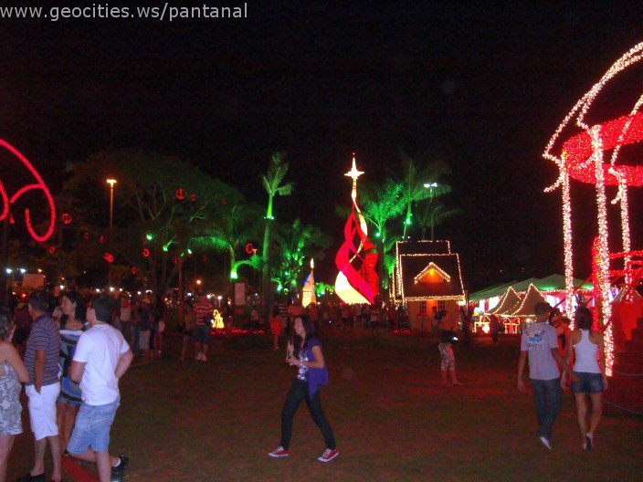 2410_geocities_ws_pantanal.jpg