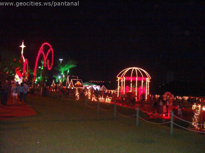 2412_geocities_ws_pantanal.jpg