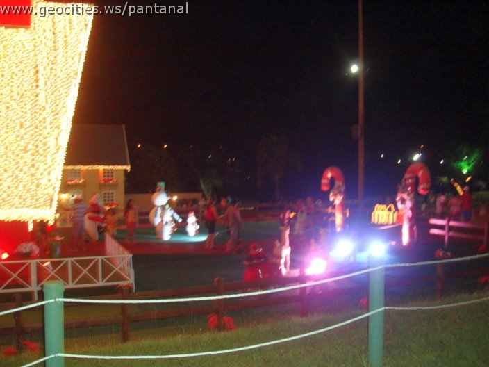 2417_geocities_ws_pantanal.jpg